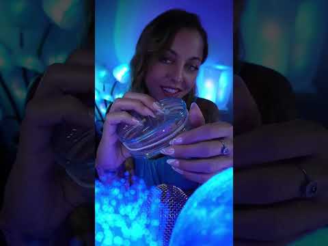 Zippy ASMR 🫠💙💤 #asmr #asmrsounds #asmrvideo #asmrlivestream #livestream