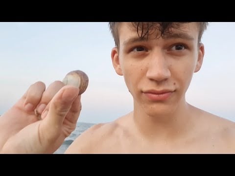 ASMR | Seashell Hunting 🧜‍♂️ (Relaxing Sea Sounds for Sleep)
