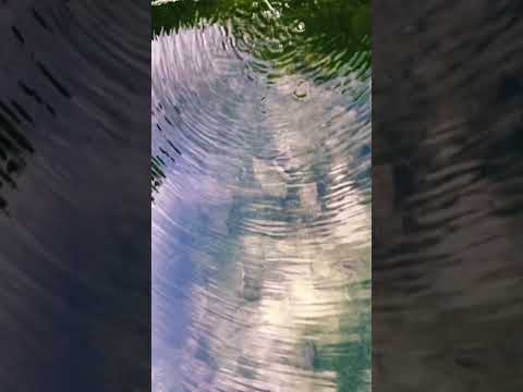 ASMR Water flows from centuries old Fountain 💧 #relaxing #watersounds #naturesounds #birds