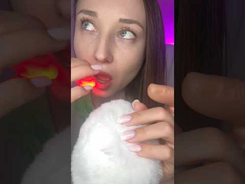 ASMR Bugs Searching and Eating 🐞 #asmr