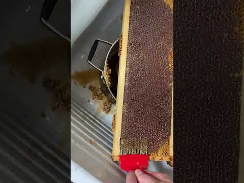 Uncapping the honeycomb 🐝