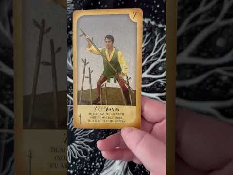 What has been frustrating you lately? #asmr #tarot #timelesstarot