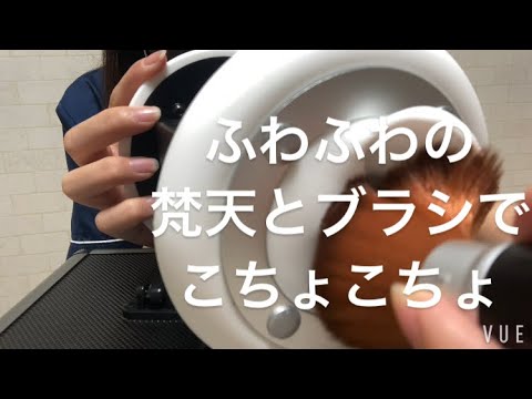 ASMR カメラ近めのふわふわ、こちょこちょ音【request movie】