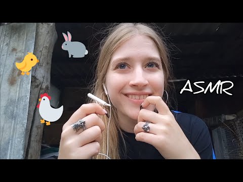 ASMR Chit-Chat (nature, rain, farm animals, thunderstorm...)