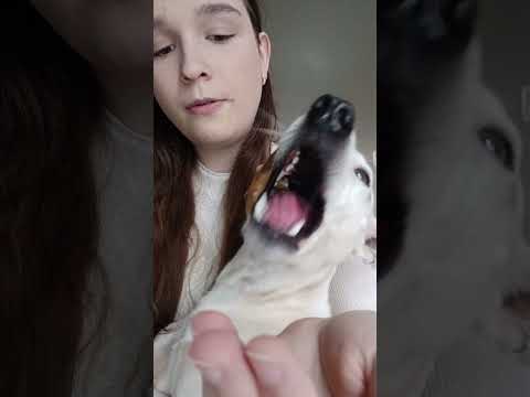 ASMR Luna comendo