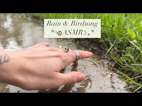 A peaceful rainy day in New Hampshire🌷ASMR🌲(lofi, tracing, bird song)