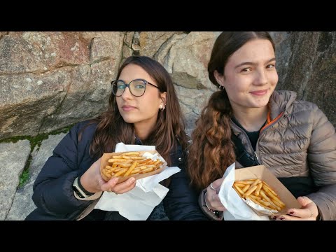 ASMR COMENDO BATATA FRITA🍟✨️