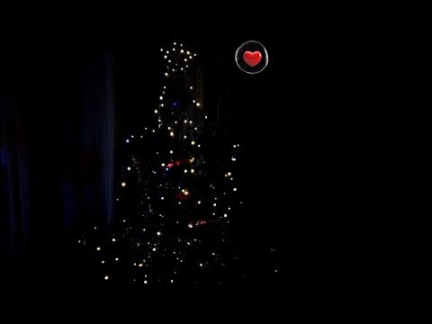 Sapin acheté(véritable sapin), aussitôt décoré 🌲🌲🌲
