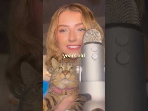 Kitty kat asmr takeover #shorts #asmrcommunity #asmr #relaxing #relaxation #whisperingasmr