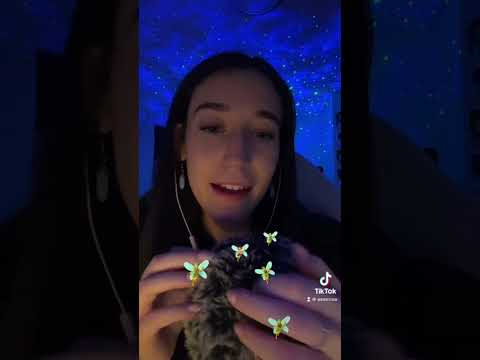 #ASMR fairy bug search!