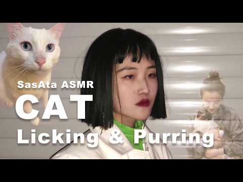 SasAta ASMR | Cat Licking，purring and bitting. ( No Talking )