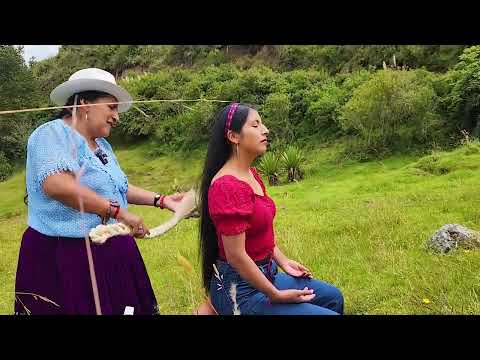 PAULINA & DOÑA ROSITA Spiritual& Cleansing with Toquilla Straw and Scansel ❤🍀🙌