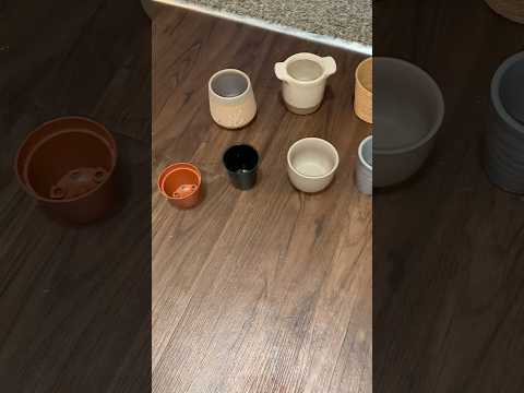 ASMR Day 11 Of 30 - My Fourth 30 Day Declutter Challenge/Minimalism Challenge #ASMR #Shorts