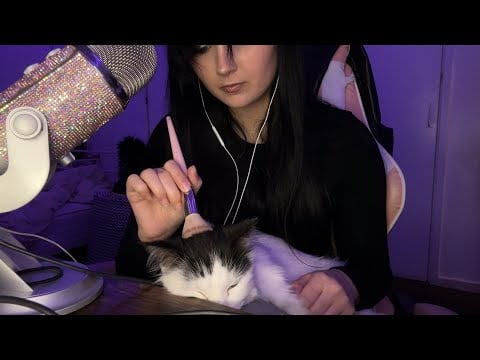 Giving Both You And My Cat ASMR (mostly my cat)