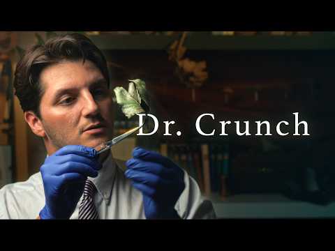 ASMR Finding the Crunchiest Leaf With You | Cinematic, Soft Spoken, Sound Design