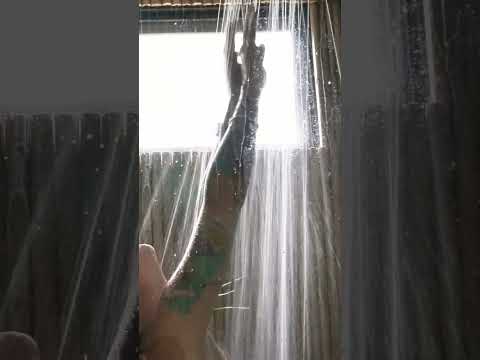 Massage Therapist Routine
