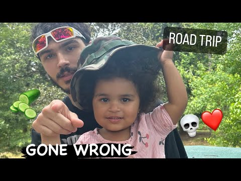Vlog #82 - Road Trip Gone Wrong… TWICE