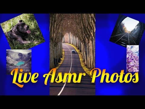 🎈 ASMR LIVE : Critique photos ! 📷