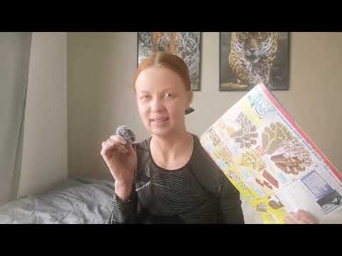 ASMR | A little chat to unwind. Soft spoken with an accent