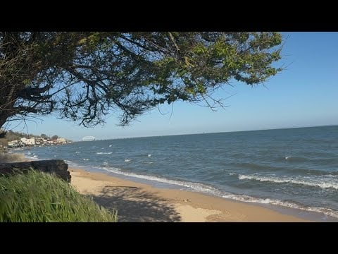 Медитация | звуки природы🍃дельфины 🐬 море 🌊  | расслабляющий ASMR 🥰