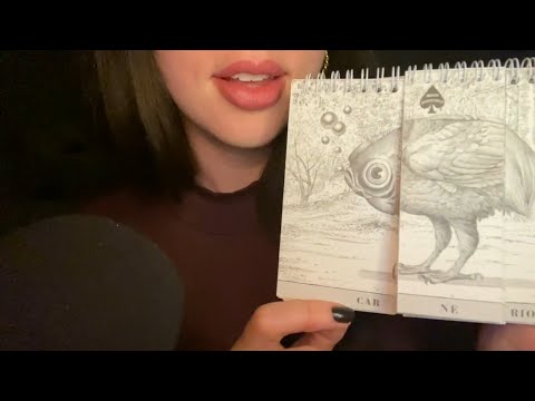 ASMR Divagando No. 3 (Animalario Universal)