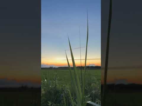 Indah pemandangan nya yaa #asmr  #asmrvideo