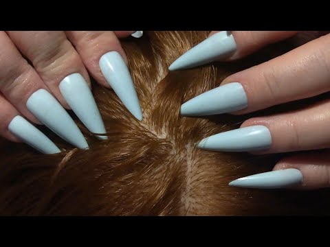 ASMR Scalp Check with Long Nails (Scalp Scratching, Scalp Massage, Scalp Treatment, Close Up)