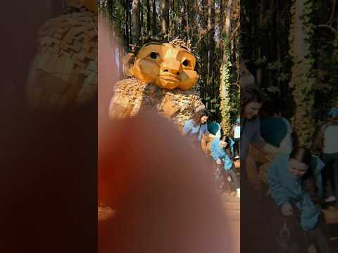 Camera scratching in NC #asmr #raeasmr #visualasmr #upclose #cameratapping #camerascratching