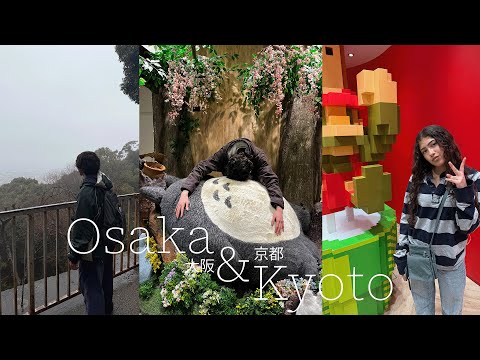 Osaka & Kyoto, Japan Vlog 🍡 (Late) Thrifting, Sightseeing and More!!