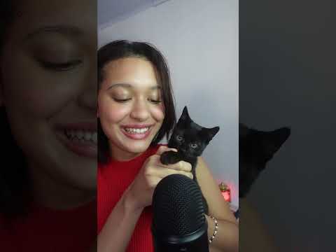 ASMR com minha gatinha Luna #asmr  #asmrsounds  #gatos