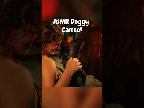 doggy's back for more ASMR! #asmr #dog #funnydog #cutedog #realpersonasmr #tinglyasmr #whisper