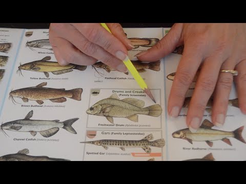 Asmr - Fishing Handbook and Identification Guide - Softly Spoken