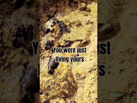 Things Your Nervous System Remembers: Part 4 #nervoussystem