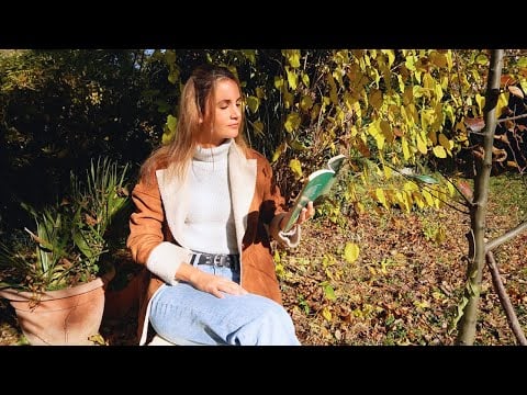 Ti rilasso in giardino | ASMR ITA | soft spoken reading 🌿