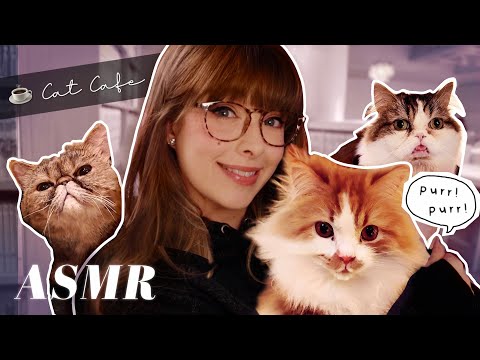 ASMR 🐈‍⬛ Visiting a Cat Café in Tokyo Japan! ☕️ Adorable Kitties, Manga, Coffee & more!
