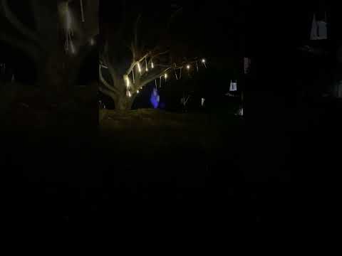 Quiet Christmas lights on my walk