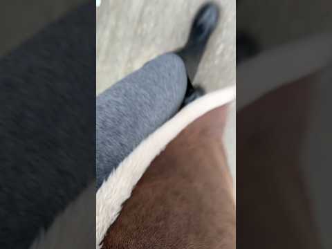 ASMR gemütlicher Spaziergang im Regen während des Eis schmilzt. 🩵