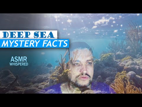 DEEP SEA fascinating and mysterious facts worth to be known | ASMR whispered facts