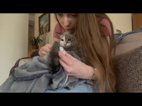 ASMR • clipping my cat's claws 💅🏼🐱