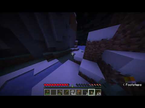 Minecraft: Gameplay with a Friend