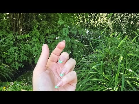 ASMR Garden Tour | Whispered