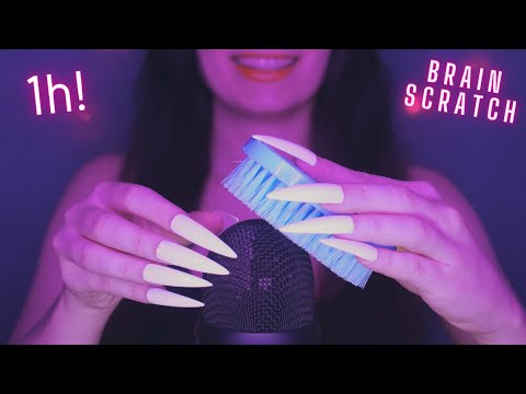 Asmr Deep Mic Scratching , Brushing & Stroking | Asmr No Talking for Sleep with Long Nails - 1H