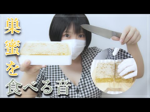 【ASMR】ハチの巣丸ごと食す！「巣蜜」の咀嚼音【音フェチ】