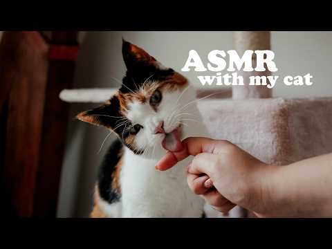 ASMR Cat Purring for Sleep 🐾 Deep Relaxation