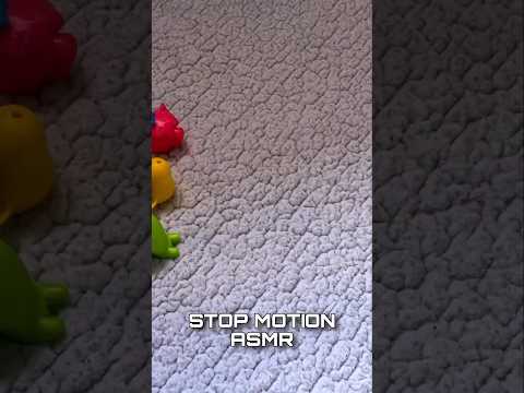 ASMR STOP MOTION #asmr #shorts #asmrshorts