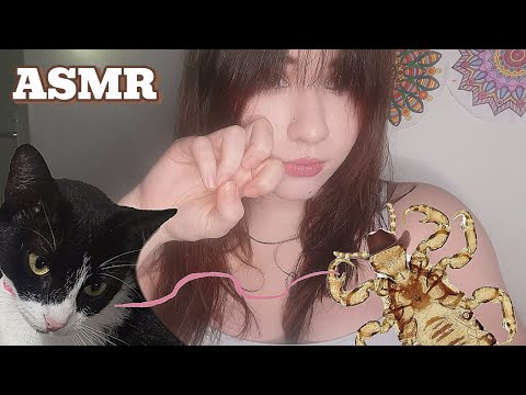 ASMR - Te saco los piojos en clase ✂️