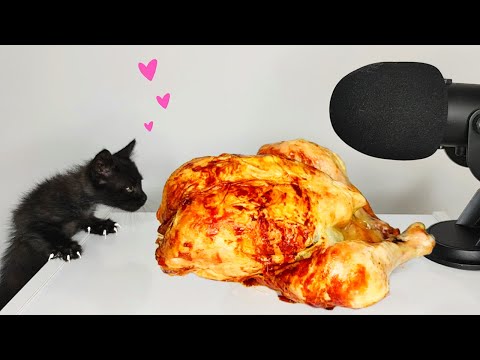 Kitten Eating Roast Chicken ASMR #2