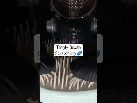 Tingly Brush Scratching! 🤍 #asmr