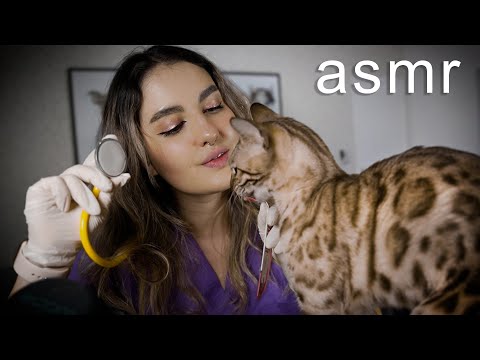 ASMR MEDICO VETERINARIA asmr en español para dormir