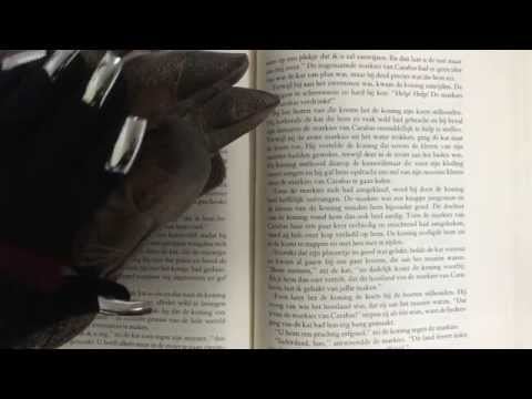 De Gelaarsde Kat |ΦωΦ|  * Puss in Boots * [[ ASMR]]